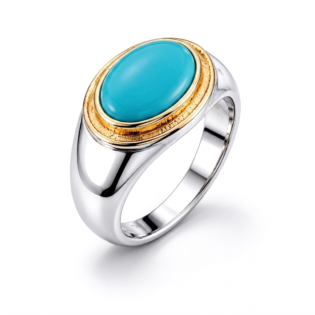 Turquoise Oval Statement Ring